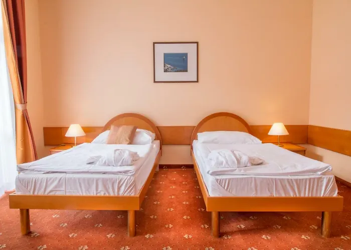 Hotell Ensana Hvezda - Imperial - Neapol 4*